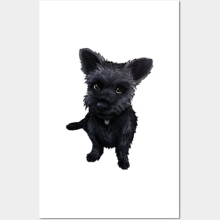 Black Schnauzer Dog Portrait Posters and Art